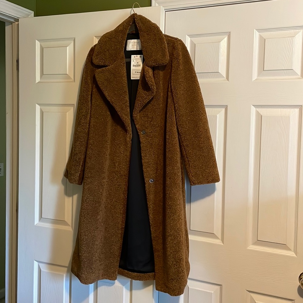 Brand New Zara Teddy Coat Brown Sz Large